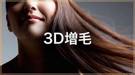 3D増毛